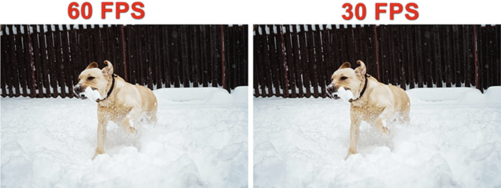 fps vs hz,hz vs frame rate,hz or fps,what is hz vs fps