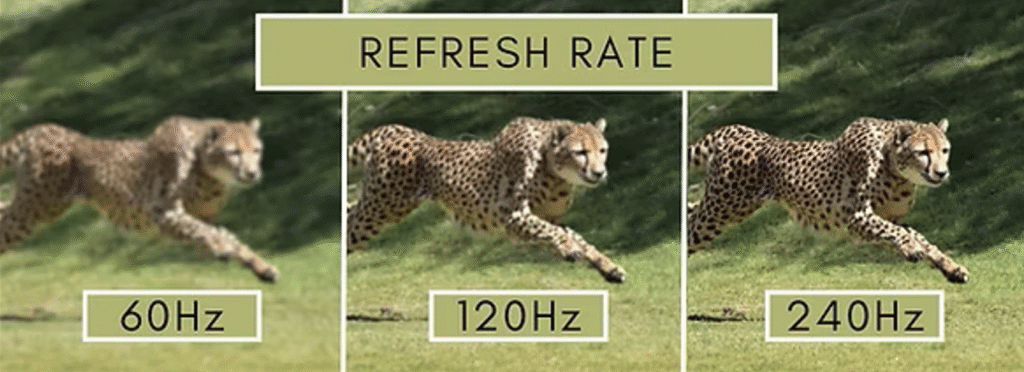 fps vs hz,hz vs frame rate,hz or fps,what is hz vs fps