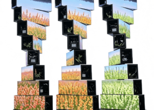 DNA Helix Rotating Mechanical LED Screen,Holographic DNA 360° Rotating LED Display,DNA led screen